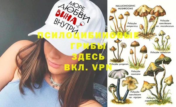 альфа пвп Валдай