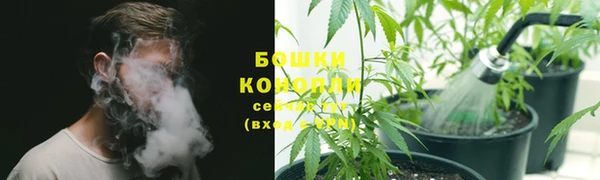 spice Пересвет