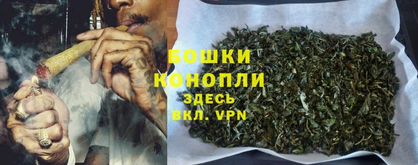 spice Пересвет