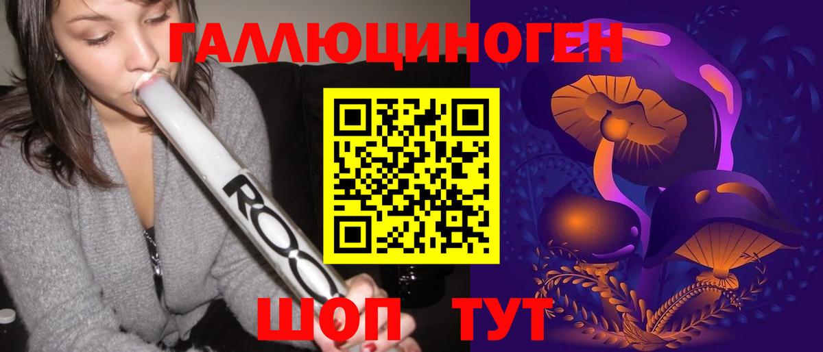 Галлюциногенные грибы Psilocybe  Александров 