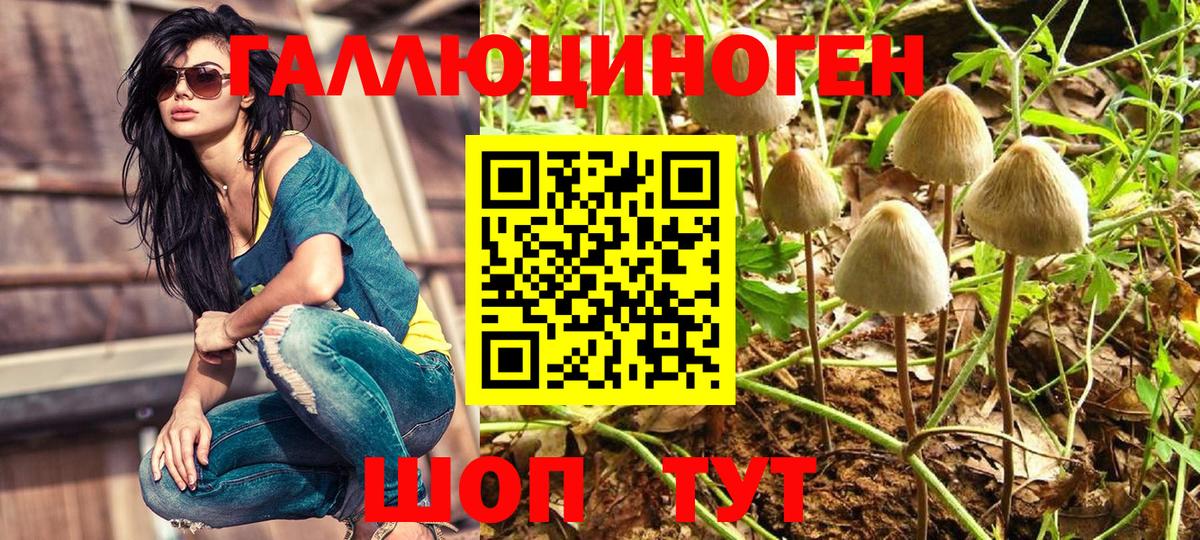 Галлюциногенные грибы MAGIC MUSHROOMS Александров
