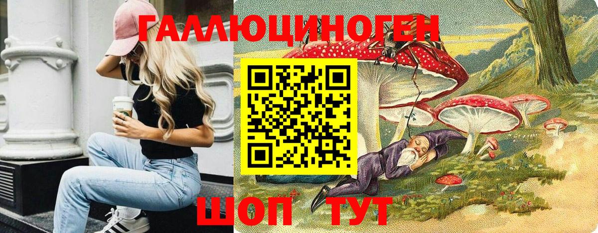 Александров  Псилоцибиновые грибы прущие грибы  Вход с VPN  Галлюциногенные грибы Psilocybe 