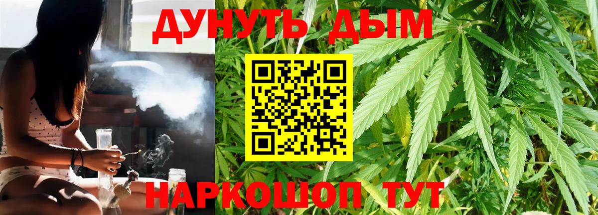 Конопля SATIVA & INDICA Александров